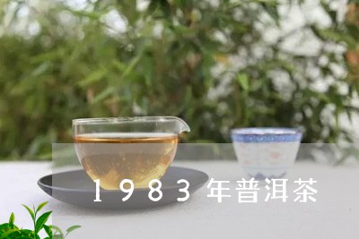 1983年普洱茶/2023041032906