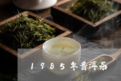 1985年普洱茶/2023041029591