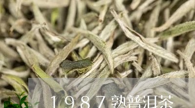 1987熟普洱茶/2023041046261