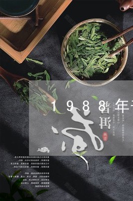 1988年普洱茶/2023041022636