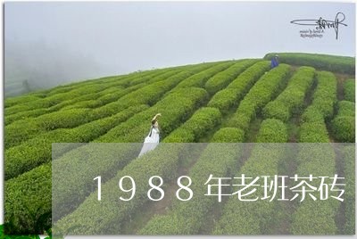 1988年老班茶砖/2023041602958