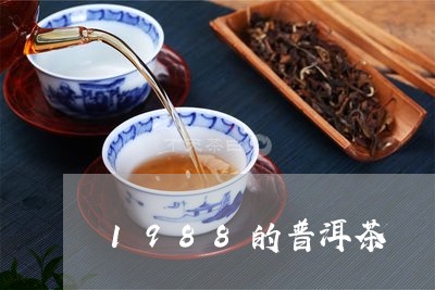 1988的普洱茶/2023041368484