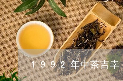 1992年中茶吉幸/2023041695158