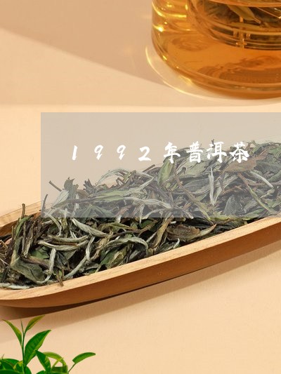 1992年普洱茶/2023041085240