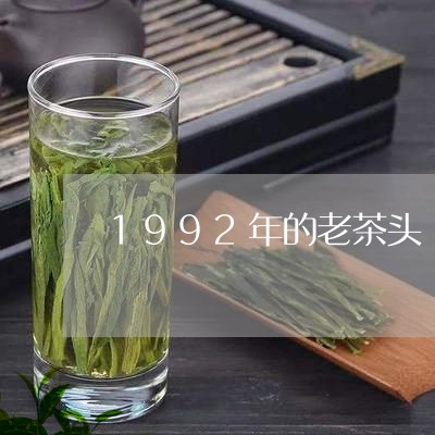 1992年的老茶头/2023032159382