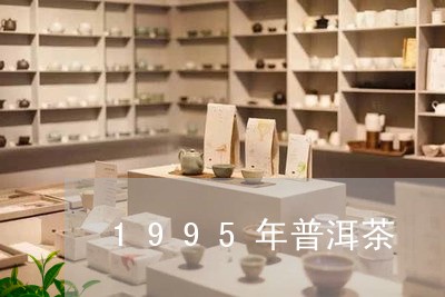 1995年普洱茶/2023041164624