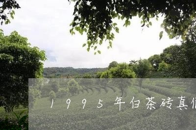 1995年白茶砖真假对比/2023033066249