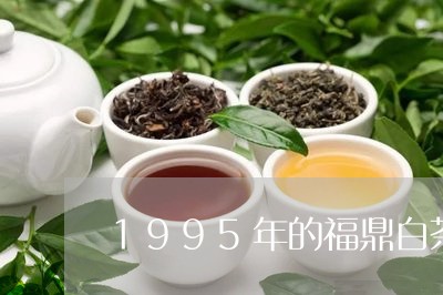 1995年的福鼎白茶价格/2023033017258