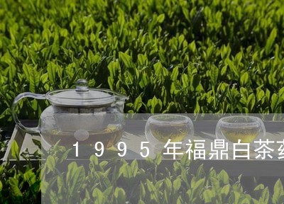 1995年福鼎白茶药香味/2023033071691