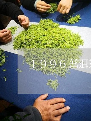 1996普洱茶饼/2023041127259