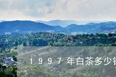 1997年白茶多少钱一盒/2023033031605