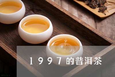 1997的普洱茶/2023041049594