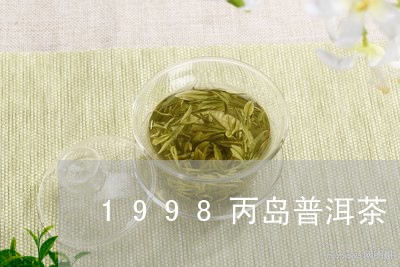 1998丙岛普洱茶/2023041513714