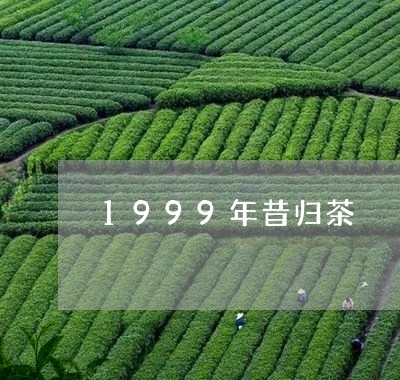 1999年昔归茶/2023032673937