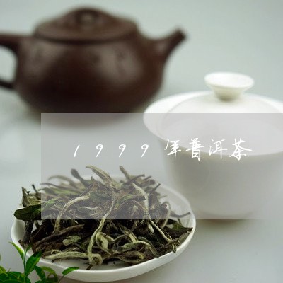 1999年普洱茶/2023031749282