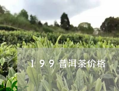 199普洱茶价格/2023041044937