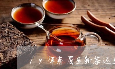 19年寿眉是新茶还是旧茶/2023033106150