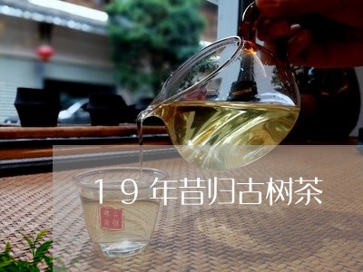 19年昔归古树茶/2023032520025