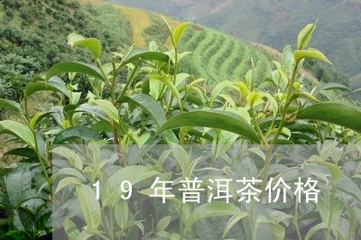 19年普洱茶价格/2023031708581