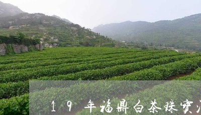 19年福鼎白茶珠宝沱价格/2023033133825