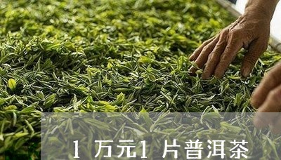 1万元1片普洱茶/2023033083928