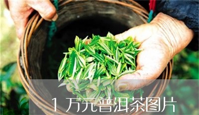 1万元普洱茶图片/2023033164151