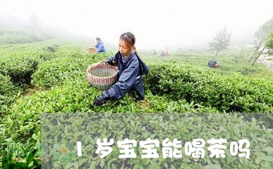 1岁宝宝能喝茶吗/2023032572828