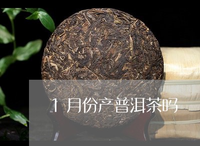 1月份产普洱茶吗/2023033066137