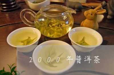 2000年普洱茶/2023041239503