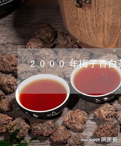 2000年梅子香白茶价格/2023033000714