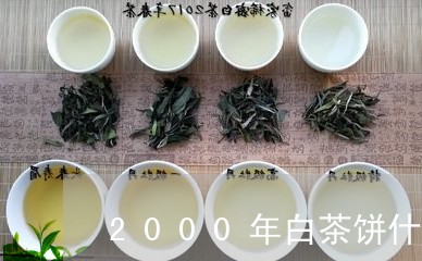 2000年白茶饼什么价格/2023033004925