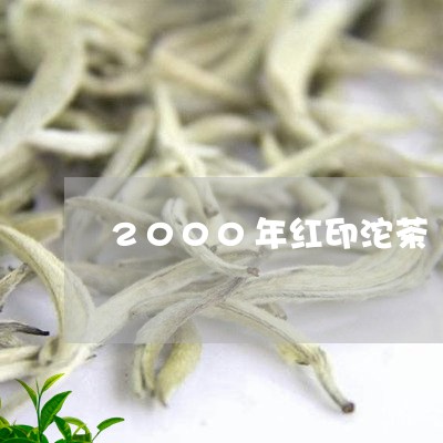 2000年红印沱茶/2023032214869