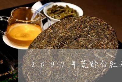 2000年荒野白牡丹茶饼/2023033035370