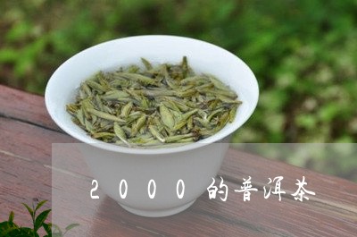 2000的普洱茶/2023041028381