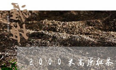 2000米高原红茶/2023031814036