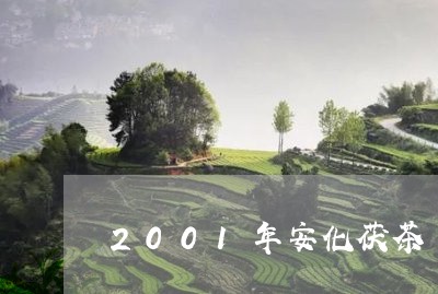 2001年安化茯茶/2023041646481