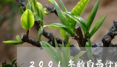 2001年的白茶什么颜色/2023033095351