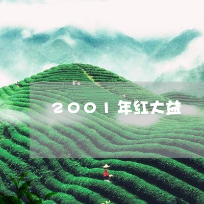 2001年红大益/2023032622824