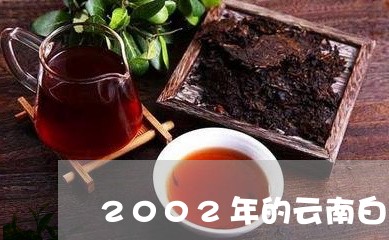 2002年的云南白茶好吗/2023033092716