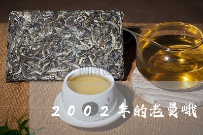 2002年的老曼峨/2023041620645