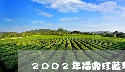 2002年福鼎珍藏老白茶/2023033051815