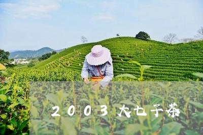 2003大七子茶/2023032214928