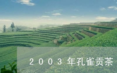 2003年孔雀贡茶/2023041664038