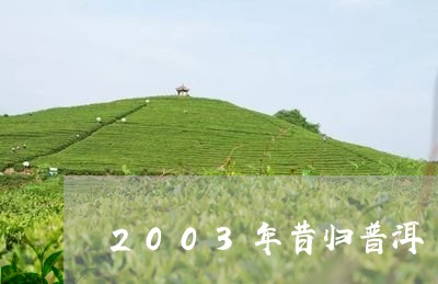 2003年昔归普洱/2023031996378