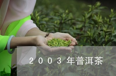 2003年普洱茶/2023041398363