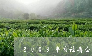 2003年有福鼎白茶饼吗/2023033045268