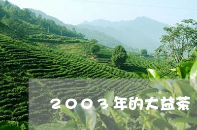 2003年的大益茶/2023032276161