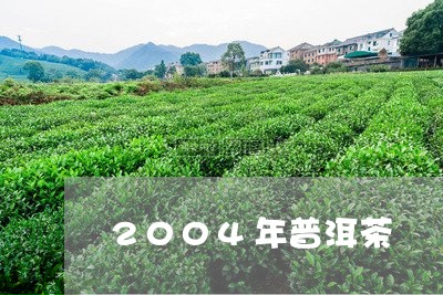 2004年普洱茶/2023041377373