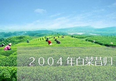 2004年白菜昔归/2023031849592