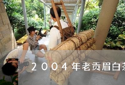 2004年老贡眉白茶价格/2023033095038